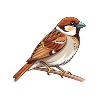 Realistic Sparrow on a Branch Bold Outline Design 3 vector