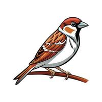 Realistic Sparrow on a Branch Bold Outline Design 1 vector