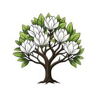 Realistic Sweetbay Magnolia Tree Bold Outline Design 1 vector