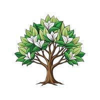 Realistic Sweetbay Magnolia Tree Bold Outline Design 3 vector