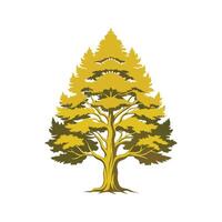 Realistic Vietnamese Golden Cypress Tree Bold Outline Design 1 vector