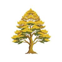 Realistic Vietnamese Golden Cypress Tree Bold Outline Design 3 vector