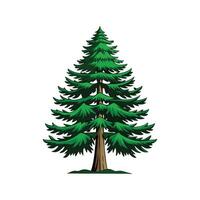 Realistic Western Hemlock Tree Bold Outline Design 3 vector