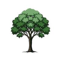 Realistic Whitebeam Tree Bold Outline Design 2 vector