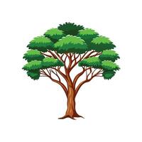 Realistic Wild Tamarind Tree Bold Outline Design 3 vector