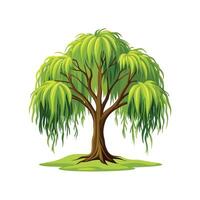 Realistic Willow Tree Bold Outline Design 1 vector