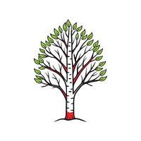 Realistic River Birch Tree Bold Outline Design 1 vector