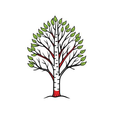 Realistic River Birch Tree Bold Outline Design 1