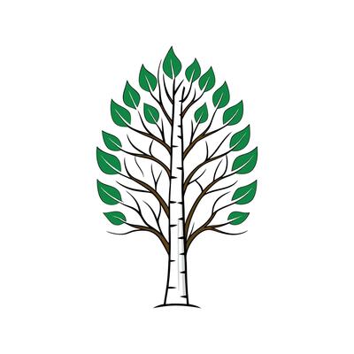 Realistic River Birch Tree Bold Outline Design 2