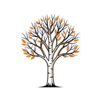 Realistic River Birch Tree Bold Outline Design 3 vector