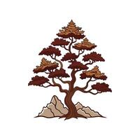 Distinct Rocky Mountain Juniper Tree Outline Art vector