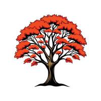 Realistic Sassafras Tree Bold Outline Design 2 vector