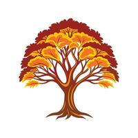 Realistic Sassafras Tree Bold Outline Design 1 vector
