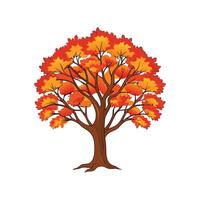 Realistic Sassafras Tree Bold Outline Design 3 vector