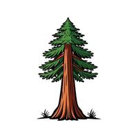 Realistic Sequoia Tree Bold Outline Design 2 vector