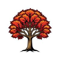 Realistic Shagbark Hickory Tree Bold Outline Design 2 vector