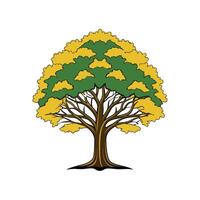 Realistic Siberian Elm Tree Bold Outline Design 1 vector