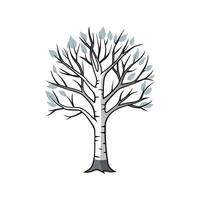 Realistic Silver Birch Tree Bold Outline Design 2. vector