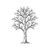 Realistic Silver Birch Tree Bold Outline Design 1. vector