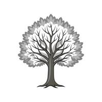 Realistic Silver Linden Tree Bold Outline Design 1 vector