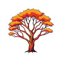Realistic Snow Gum Tree Bold Outline Design 1 vector