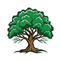 Realistic Southern Live Oak Tree Bold Outline Design vector