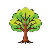 Realistic Sugar Maple Tree Bold Outline Design 3 vector