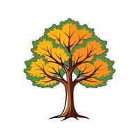 Realistic Sugar Maple Tree Bold Outline Design 2 vector