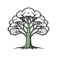 Realistic Swamp Tupelo Tree Bold Outline Design 3 vector