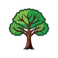 Distinct Teak Tree Outline Art vector