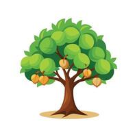 Realistic Walnut Tree Design 1 vector