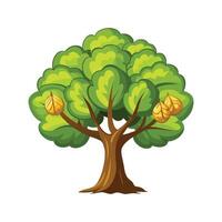 Realistic Walnut Tree Design 3 vector