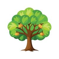 Distinct Walnut Tree Design vector