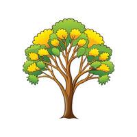 Realistic Wattle Tree Bold Outline Design 2 vector
