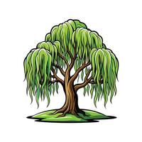 Realistic Weeping Willow Tree Bold Outline Design 2 vector
