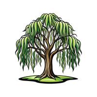 Realistic Weeping Willow Tree Bold Outline Design 3 vector
