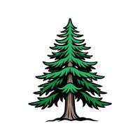 Distinct Western Hemlock Tree Outline Art. vector