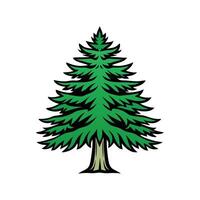 Realistic Western Hemlock Tree Bold Outline Design 3. vector