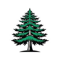 Realistic Western Hemlock Tree Bold Outline Design 2, vector