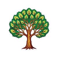 Realistic Western Soapberry Tree Bold Outline Design 3 vector