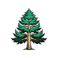 Realistic Western White Pine Tree Bold Outline Design 1. vector