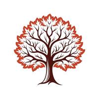 Realistic White Ash Tree Bold Outline Design 1 vector