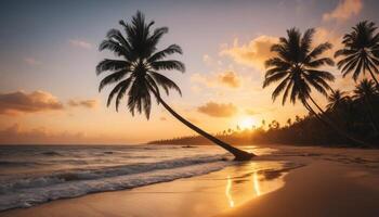 Tropical Sunset Beach with Leaning Palm Trees photo
