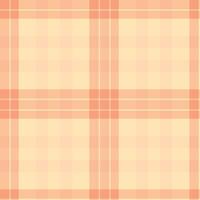 Spring Seamless Checks featuring Bright Pale Peach and Iridescent Peach Background vector