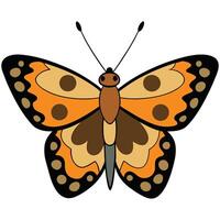 Butterfly Icon in Flat Style with Bright Solid Colors vector