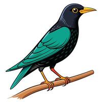 Simple Design of a Bird with Solid Colors and White Background vector