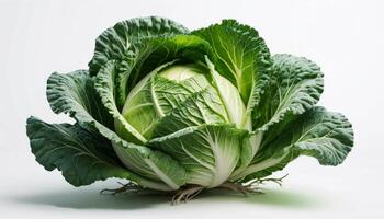 Vibrant Green Napa Cabbage on White Background photo