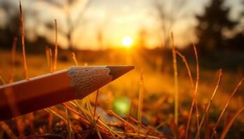 Sharpened Pencil in Grass at Sunset photo