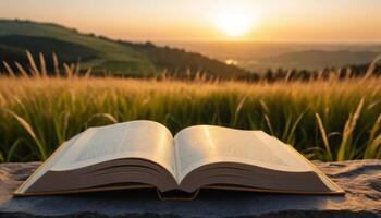 Open Book At Sunset In A Field photo