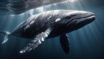 Powerful Humpback Whale Underwater Scene photo